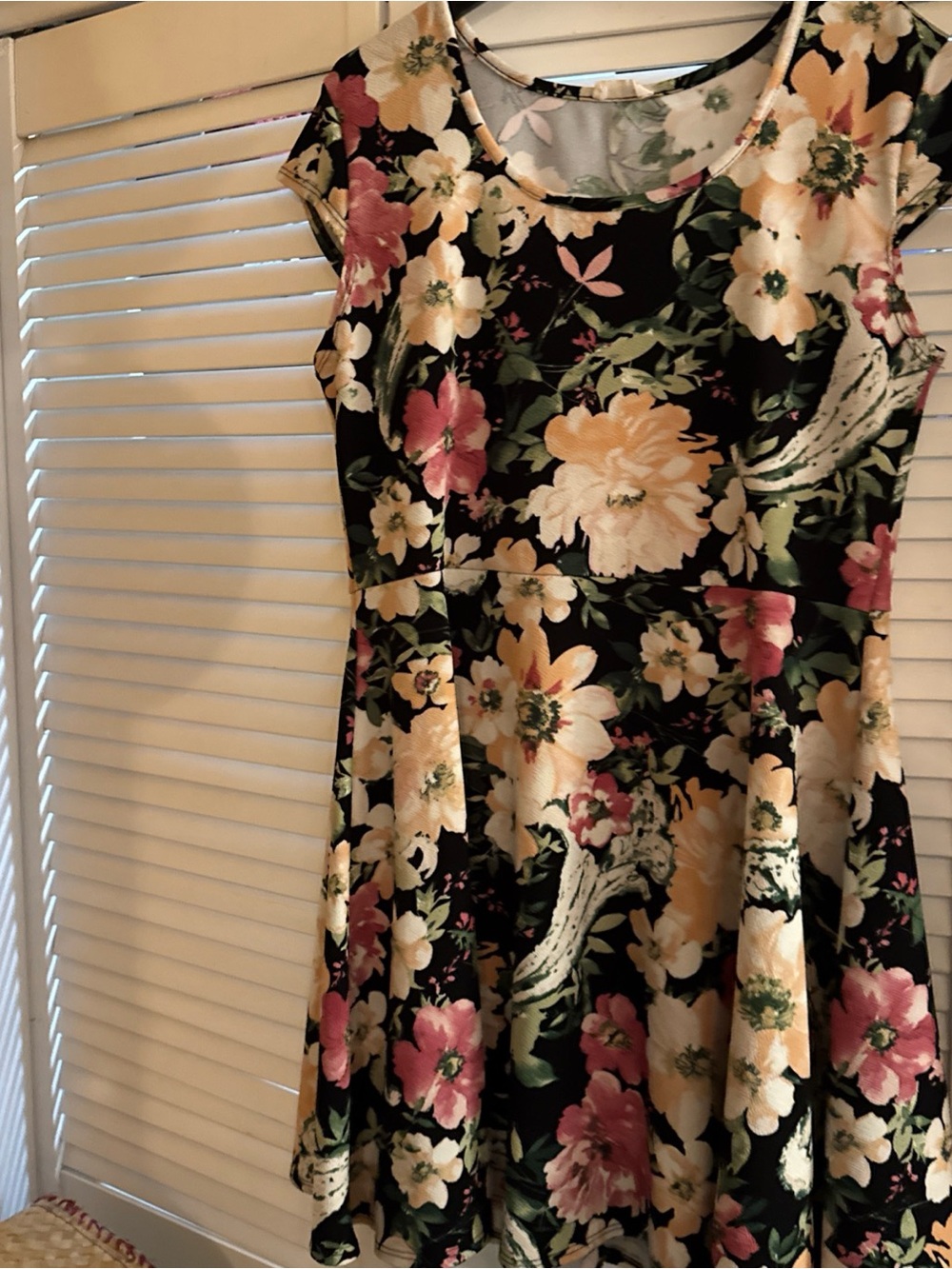 Pinc Black Floral Fit-and-Flare knee length Dress with Pink and Cream Blooms